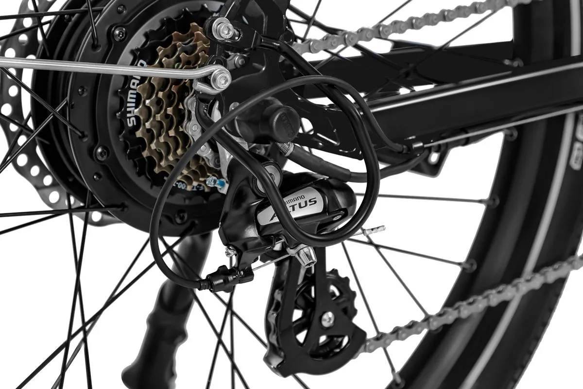 Ebike